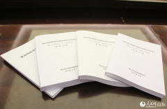 拿到智能轻量化公用车制制项目立案证明时